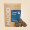 Counting Sheep kaufen - Exotisches Indica-dominantes Cannabis
