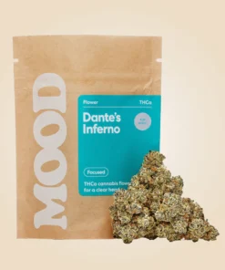 Dante’s Inferno kaufen | Exotisches Cannabis mit 25,28% THC
