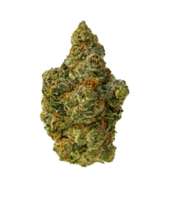 Gush Mintz kaufen - Exotisches Cannabis