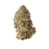 Purple Punch kaufen - Exotische THCa Blüte 25.60%