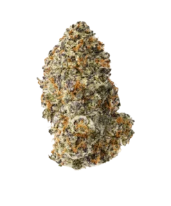 Purple Punch kaufen - Exotische THCa Blüte 25.60%