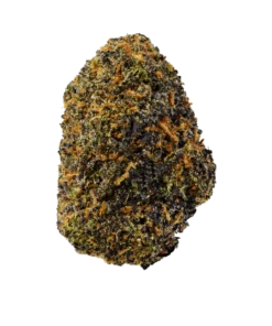 Rainbow Runtz kaufen - Exotische Indica-Hybrid