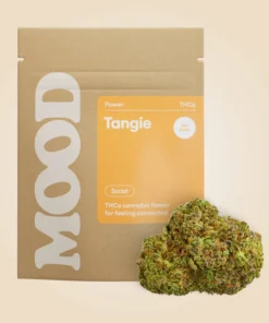 Tangie kaufen - Sativa Hybrid (28,89% THC)