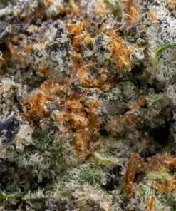 Apple Tart Exotisches Hybrid-Cannabis kaufen