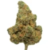Blue Dream THCa Blüte kaufen - Exotische Sativa Hybrid