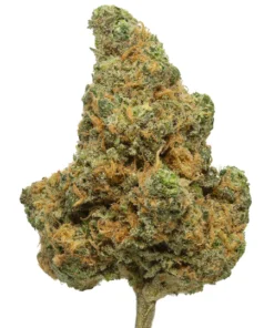 Blue Dream THCa Blüte kaufen - Exotische Sativa Hybrid