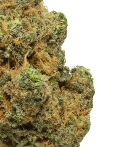 Blue Dream THCa Blüte kaufen - Exotische Sativa Hybrid