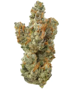 Frostade THCa Blüte kaufen - Exotische Hybrid-Sorte