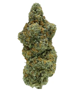 Gelato 41 kaufen - Exotische THCa Blüte mit 23.72% THCa