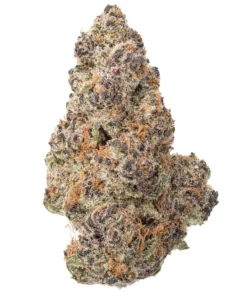 Granddaddy Purple THCa Blüte kaufen - 26.38% THCa Indica
