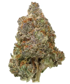 Royal Kush THCa Blüten kaufen - Königliche Indica-Hybride