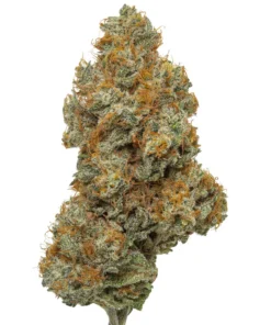 Northern Lights THCa Blüten kaufen - Legendäre Indica online bestellen
