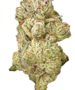 Secret Weapon THCa Blüte kaufen - Exotisches Hybrid-Cannabis