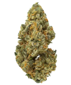 Watermelon Pines kaufen - Exotische CBD & THCa Blüte