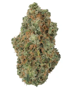 Colombian Gold THCa Blüte kaufen | 30% THCa Sativa Landrace